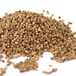 Caviar de poivre 