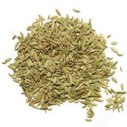 Fenouil entier