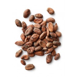 Fèves de cacao torréfiées de la République Dominicaine 72% BIO