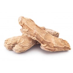 Gingembre racine 