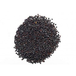 Moutarde Noire