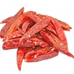 Piment long rouge de l'Inde