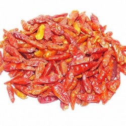 Piment Oiseau 