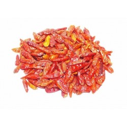 Piment Oiseau 