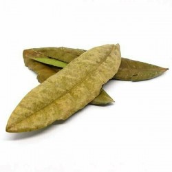 Feuilles de quatre épices de l' île de la Réunion (France)