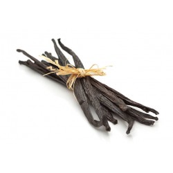 Vanille premium de Madagascar 14/15cm  