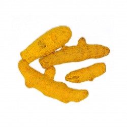 Curcuma entier