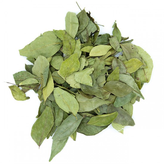 Feuilles de curry de l'île de la Réunion (France) Feuilles de curry de l'île de la Réunion (France)