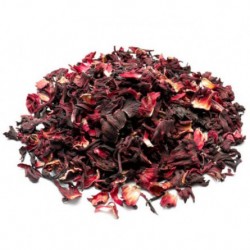 Fleur d'hibiscus 