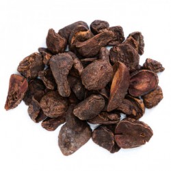 Noix de cola