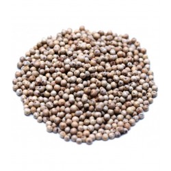 Poivre blanc de Madagascar 