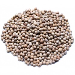 Poivre blanc de Madagascar 