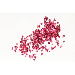 Rose pétales
