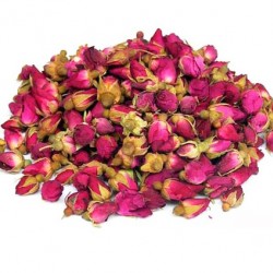 Rose boutons
