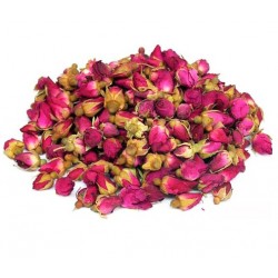 Rose boutons
