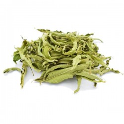Verveine citronnelle 